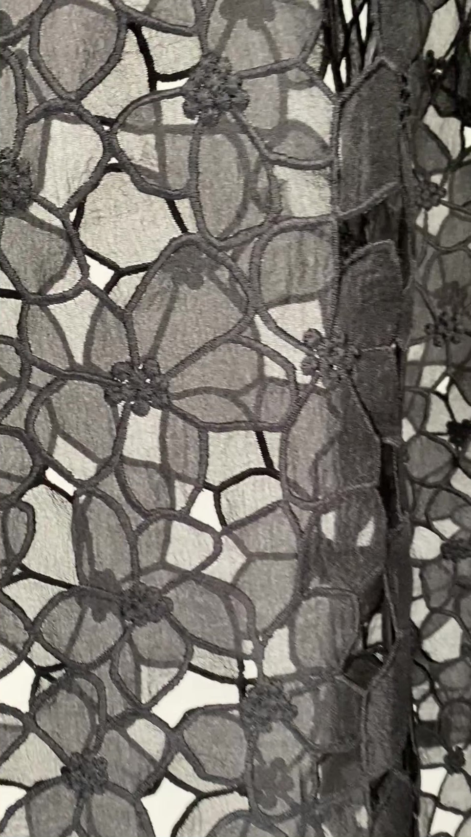 Dunkin T-Shirt in Laurier brulé